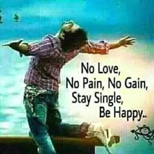 No Love No Pain No Gain Stay Single Be Happy Home Facebook