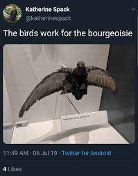 O Xrhsths Travis View Sto Twitter The Youths Find This Absurd Birds Are Fake Conspiracy Theory Very Funny They Re Going To Meme This Satire Conspiracy Theory Into Existence I Just Know It