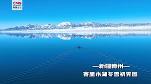 总台记者看世界丨中非合作谱新篇“红莲型”杂交水稻在肯尼亚试种成功