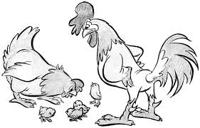 How To Draw Cartoon Chickens With A Hen A Rooster And Baby Chicks Cartoon Drawings Cartoon Chicken Cartoon Rooster