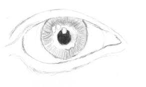 It always helps me to draw little markers on the left and right, where the drawing is going for this particular eye, the area next to the tear duct is slightly darker and the opposite corner of the eye is even darker as they are looking slightly down. Drawing The Human Eye Onlypencil Drawing Tutorials