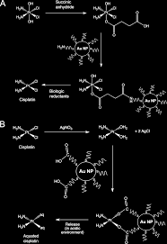 Examples Of The Chemical Strategies Used To Tether Cisplatin And Download Scientific Diagram