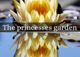 All flowers vanish when the long straight pathway takes a sudden twist. Haiku