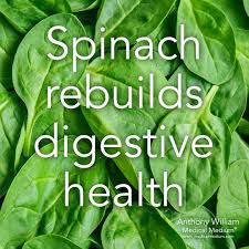 Medical Medium On Instagram Spinach Rebuilds Digestive Health Learn How To Cleanse And Heal In My New Book Cleanse To Heal Available On Amazon Barnes N I 2020