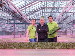 Maybe you would like to learn more about one of these? Led S Talk About The Benefits With Our Customers Booth On Thursd