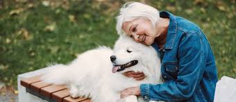 Welcome To Scottsdale Ranch Animal Hospital Scottsdale Veterinarians