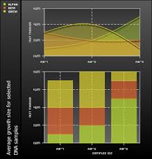 pchart a php charting library