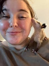 Can anyone provide job opportunities in Sonora, CA?