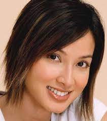 Short Asian Layered Hairstyles 2012 Medium Length Hair Styles Brown Hair With Blonde Highlights Dark Brown Hair With Blonde Highlights