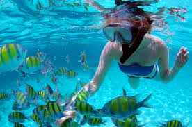Hotel pickup and drop off, english speaking guide, boat ride, entrance fee, buffet lunch. Attractions Of Langkawi Island Marine Park Of Palau Payar