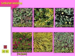 Menjual pasu bunga, pokok hiasan dan membuat landskap. Modul 1 Tumbuhan Landskap