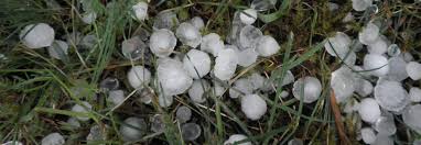 It is much frequented as a health and summer resort, and h. Hagel Bluhendes Osterreich