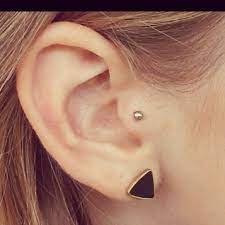 Pin By Casey On Pokes Ear Piercings Tragus Piercings Types Of Ear Piercings