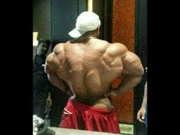 Roelly Winklaar Back Training Compilation World Bodybuilder Workout Youtube Roelly winklaar was at # 5 at the event. roelly winklaar back training compilation world bodybuilder workout