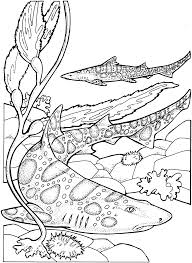 Inaugurating our collection of shark coloring pages today are the angel sharks. Coloring Pages Shark Coloring Pages Free And Printable Coloring Home