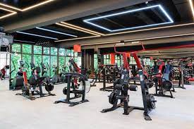 Gym layout in 2020 gym design gym decor gym interior. 10 Tips In Designing Your Commercial Gym Primo Fitness