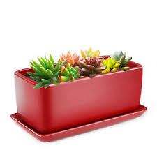 25h x 14l product id: 10 Rectangular Ceramic Succulent Planter Pot Container Window Box With Tray Ebay