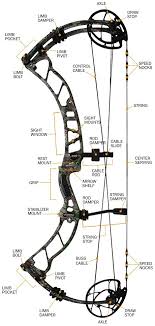 Compound Bow Specifications And Jargon Chapter 1 Hunters