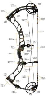 compound bow specifications and jargon chapter 1 hunters