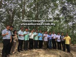 Maybe you would like to learn more about one of these? Tambah Nilai Mesej Sesuai Dengan Aspirasi Rakyat Ewon Utusan Borneo Online