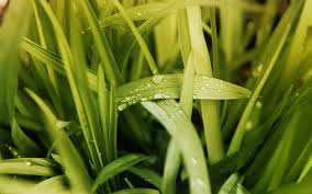 Hd Wallpaper Windows 7 Nature 5 Hd Good 3d And Abstract Wallpaper Flare 1376 x 828 jpeg 540 кб.