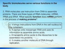 Different biomolecules are carbohydrates(energy is obtained by oxidation of carbohydrates), proteins(deficiency of protein caused kwashiorkor ), nucleic acids(contains genetic instructions ), vitamins(synthesized in our skin) , and. Session 3 Dna Protein Synthesis Ppt Download