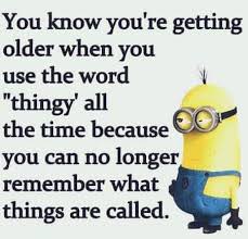 Pin By Rachie On Minions Minion Jokes Crazy People Minions Funny