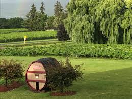 Image result for Wiesneria