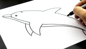 How To Draw A Dolphin Art For Kids Hub Art For Kids Hub Dolphin Art Art For Kids