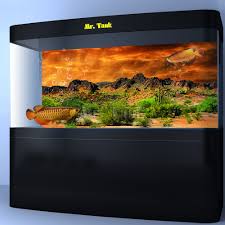 Mr Tank Reptile Habitat Background Poster Hd Desert View With Cactus Terrarium House Wall Decorations Decorations Aliexpress The layer should be at least four inches (10 cm.), depending on the size of the tank and your fish tank terrarium design.