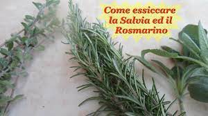 Pin Su Conserve