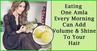 Massaging the scalp with amla oil strengthens the follicles, provides luster while vitamin c prevents premature greying. Top 8 Benefits Of Eating Indian Gooseberry Amla