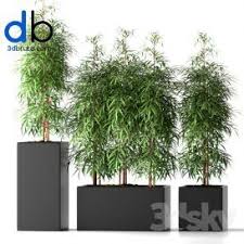 262 Plant 3dmodel 3dsmax Check More At Https 3dbrute Com 262 Plant 3dmodel 3dsmax