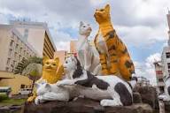 Cat Statue, Kuching, Sarawak. - 56 Hotel Kuching | A Memorable ...