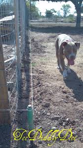 In this article, we are tackling all things in regards to above ground electric fences including our top five system recommendations. Diy Animal Electric Fence Hot Wire Dogs Horses Cows Chickens Electric Fence Wire Fence Dog Fence