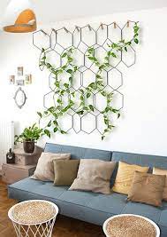 室內綠化飛簷走壁懸掛植物 7 plant decor indoor indoor vines home decor