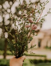 Here you can find different types of flower pictures, among them red flowers, white flowers, rose flowers, spring flowers, flower wallpapers and other flower images. 5 Steps For Creative And Beautiful Flower Photography