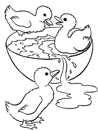 Duck coloring pages for adults. Duck Coloring Pages Best Coloring Pages For Kids Coloring Pages Cute Coloring Pages Animal Coloring Pages