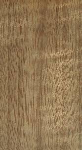 Image result for Antrocaryon nannanii