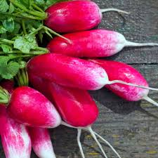 Image result for Raphanus sativus