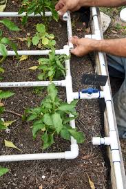 Greywater in this system flows through standard (1 1/2″ size) drainage pipe, by gravity, always sloping downward at 2% slope, or 1/4 inch drop for every foot traveled horizontally, and the water is divided up into smaller and smaller quantities using a plumbing fitting that splits the flow. Raised Bed Drip Irrigation Watering System Drip Irrigation Watering System Garden Watering System Garden Irrigation System Watering Raised Garden Beds