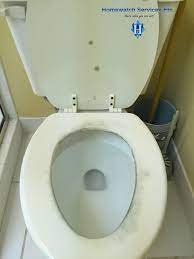 Homewatch Services Etc On Twitter Do Not Leave Your Toilet Seat Lids Closed When You Vacate Your Home For More Than A Week The Stagnant Moisture In The Bowl Along With Dead