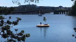 Maybe you would like to learn more about one of these? What S Growing On The Gorge Mysterious Island On Victoria Waterway Explained Ctv News