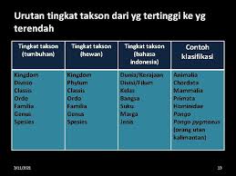 Check spelling or type a new query. Bab Ii Keanekaragaman Dan Klasifikasi Makhluk Hidup A