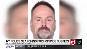 Palms and Cycads|David Squire.