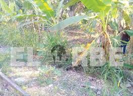 En tanto las indagatorias para esclarecer los hechos se encuentran en proceso. Encuentran Cuerpo Enterrado De Joven Desaparecido Periodico El Orbe