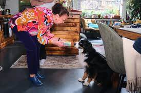 Hund Bandit bei „Unter uns“: Die ersten Szenenfotos – Offizieller „Unter  uns“-Fanclub