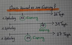 Ab wann kann der fa sehen, ob man schwanger ist ? Pin Auf Schwanger Werden Tipps