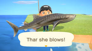 New horizons, what you need to do is get a fishing 70. Got 2 Whale Sharks A Blue Marlin And An Ocean Sunfish Animalcrossing