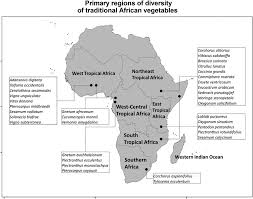 Image result for Vigna mildbraedii